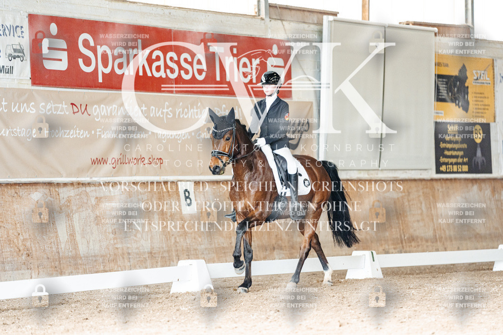 CK902014 | Turnierfotografie Pferdefotografie Trier Rheinland-Pfalz Pferdesport Reitsport Tierfotografie Sportfotografie Pferdevideo Pferdevideografie Equestrianvideography equestrianphotography  - Realisiert mit Pictrs.com