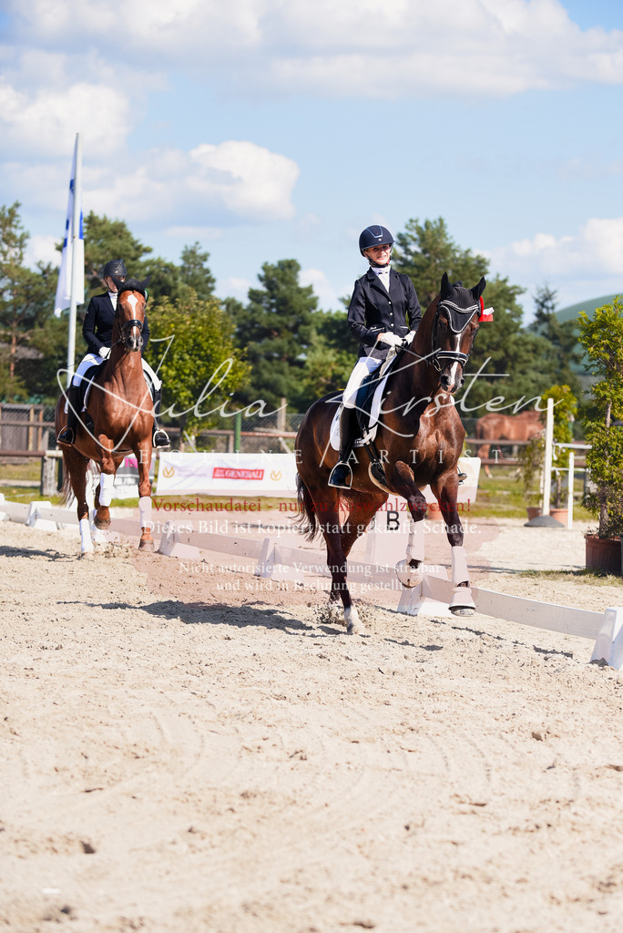 DSC_9761 | Pferde- und Turnierfotografie in Westsachsen. Pferdeportraits, Auftragszeichnungen und intuitive Kunst.