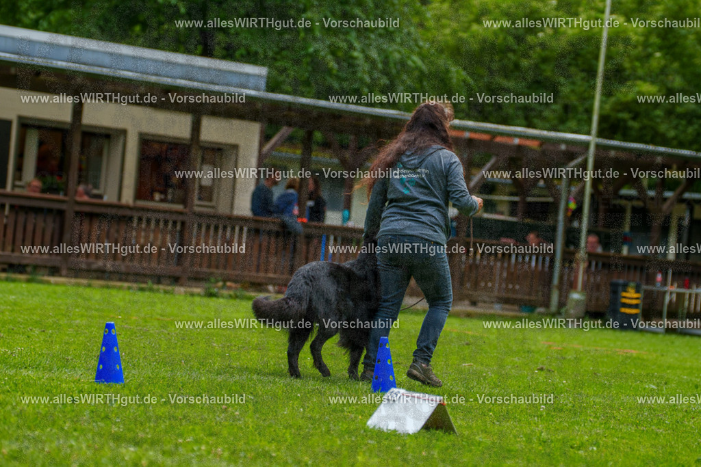 @allesWIRTHgut_Tierfotografie - www.allesWIRTHgut.de - 7R501729 | Professionelle Tierfotografie in Mönchengladbach von Daniel Wirth (allesWIRTHgut). Liebevolle & natürliche Bilder von Hunden & Katzen für unvergessliche Erinnerungen.