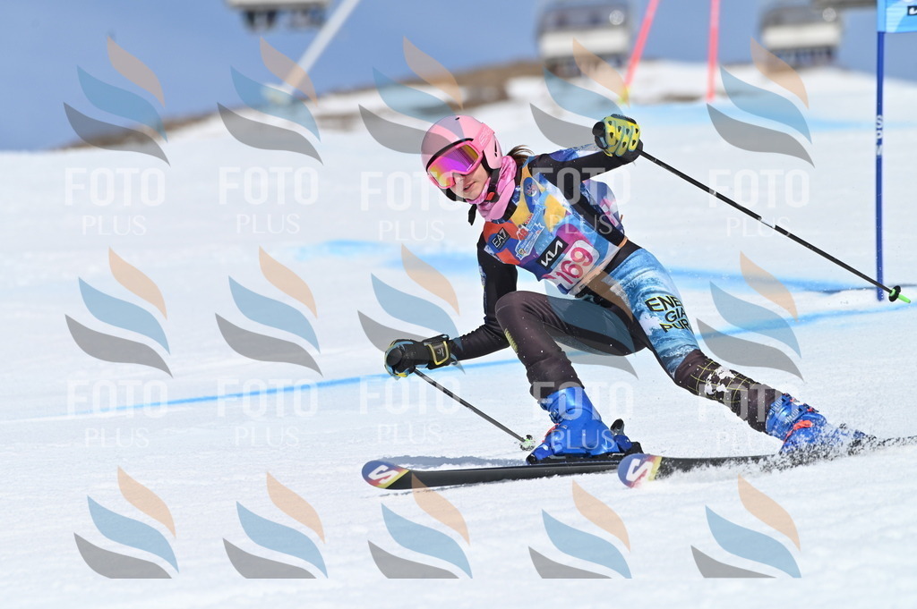 BGV_0424 | holidayphoto