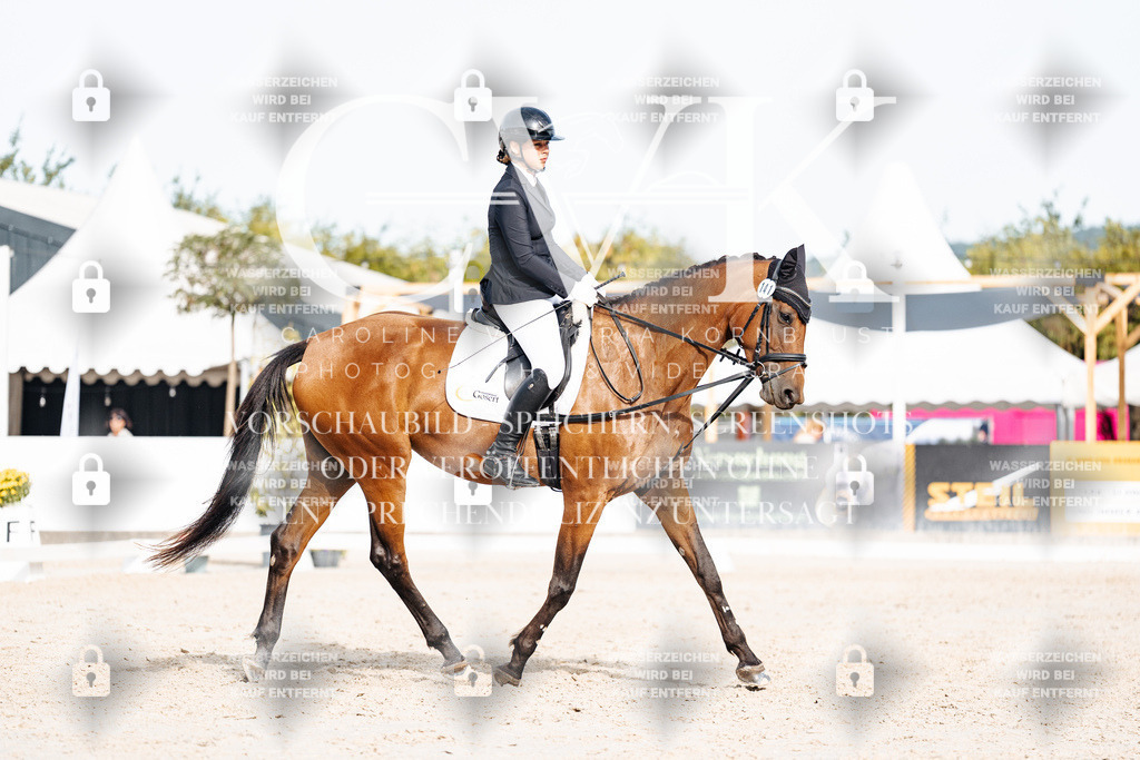 CK904904 | Turnierfotografie Pferdefotografie Trier Rheinland-Pfalz Pferdesport Reitsport Tierfotografie Sportfotografie Pferdevideo Pferdevideografie Equestrianvideography equestrianphotography  - Realisiert mit Pictrs.com