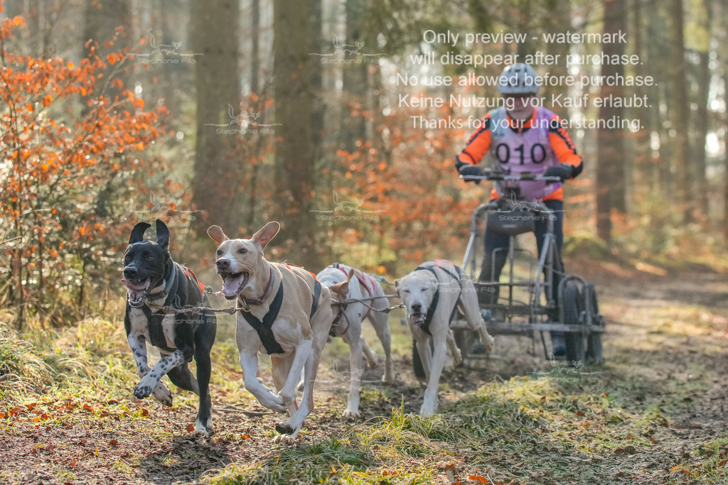 So_Gespanne-7 | stephaniefillaphotographie - Realisiert mit Pictrs.com