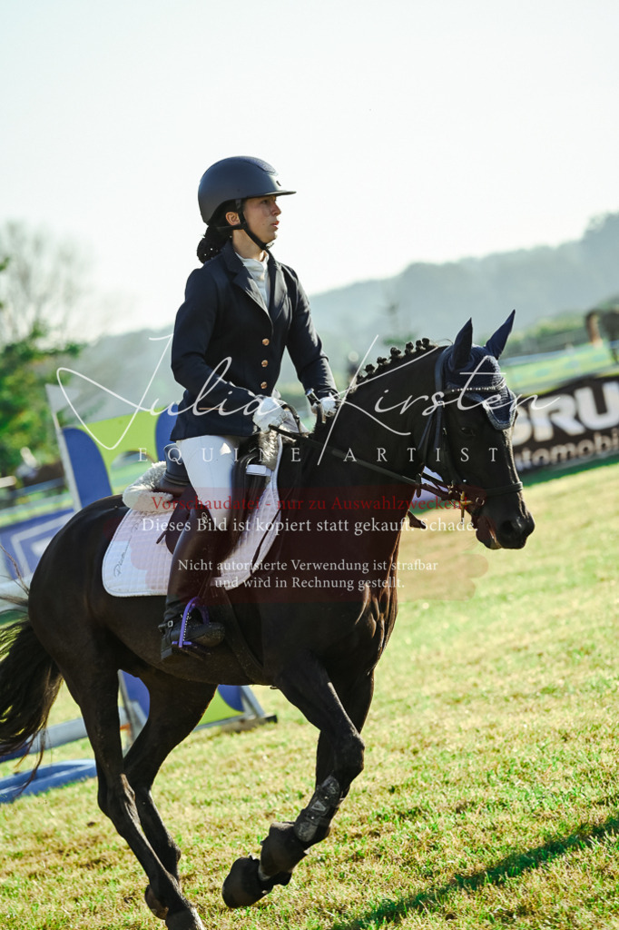 DSC_4081 | Pferde- und Turnierfotografie in Westsachsen. Pferdeportraits, Auftragszeichnungen und intuitive Kunst.