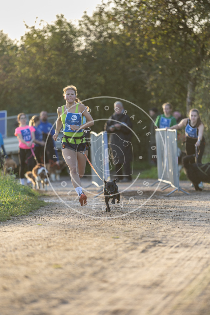 Pfotenfotografie.de_DV3A2449 | Hundefotografie, Tierfotograf, Pfotenfotografie, Fotoshooting Hund, Hunde Portrait, Hundesport, Hundeportraits, Heideshooting, Hunde, Sportfotograf, Hundefotograf, Turnierhundsport, THS, canicross - Realisiert mit Pictrs.com