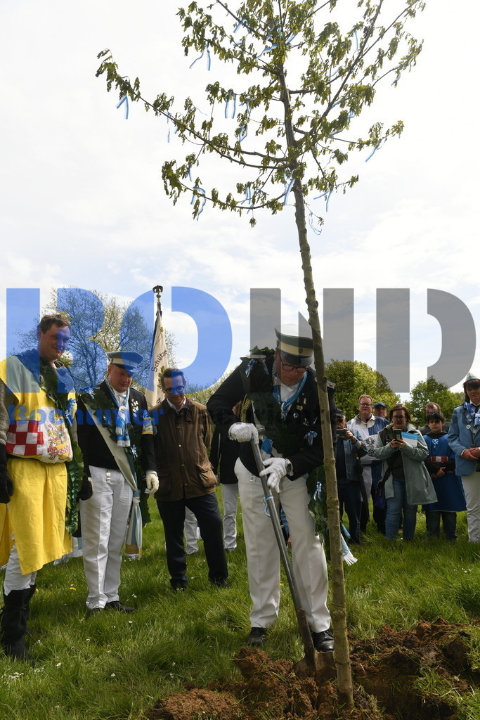 636. Maiabendfest 2024 | {headline}



(Foto: Christian Schnaubelt / BOND)

 - Realisiert mit Pictrs.com