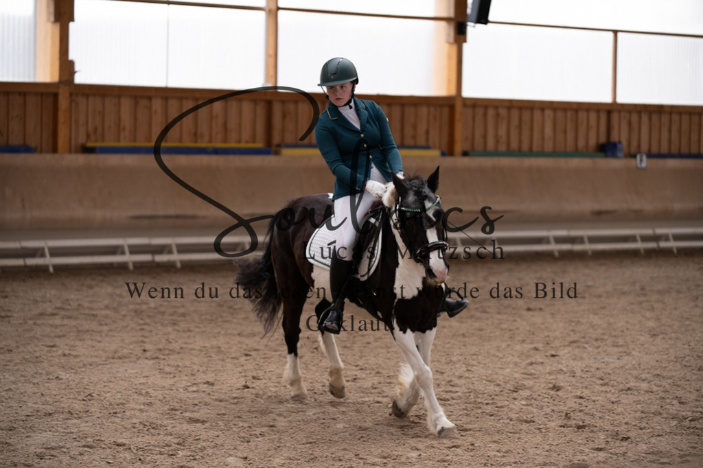 A7V09448 | Pferdefotograf