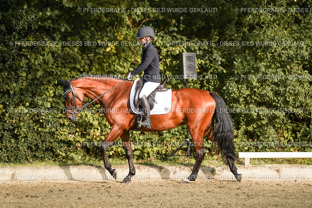 DSC04592 | Pferdegrafie