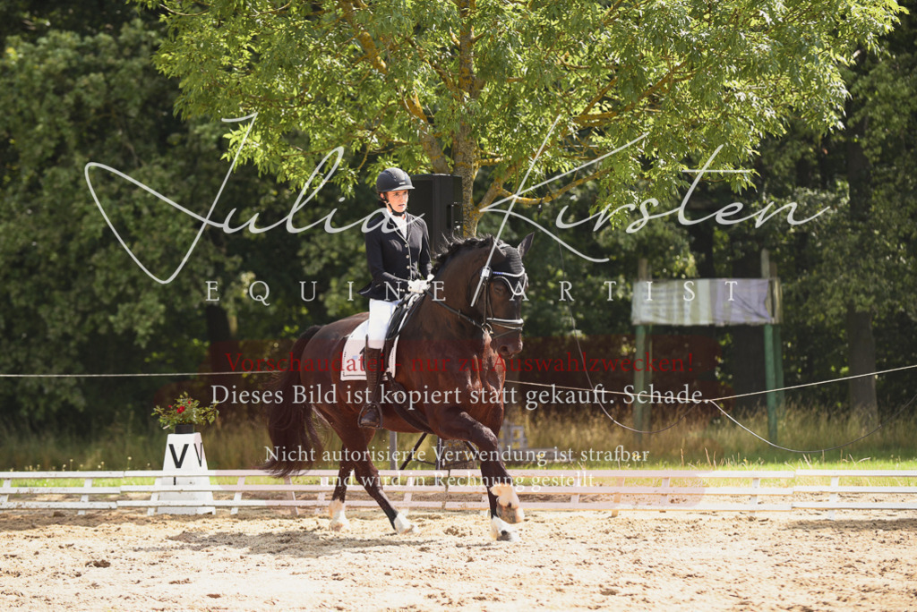 DSC_0681 | Pferde- und Turnierfotografie in Westsachsen. Pferdeportraits, Auftragszeichnungen und intuitive Kunst.