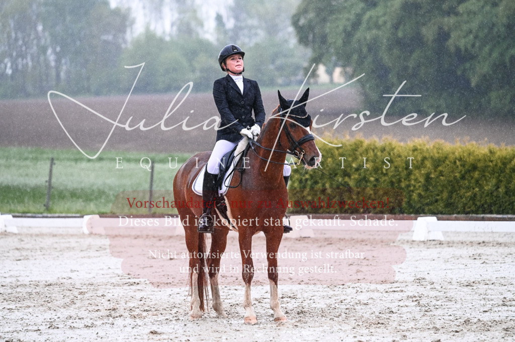 DSC_4642 | Pferde- und Turnierfotografie in Westsachsen. Pferdeportraits, Auftragszeichnungen und intuitive Kunst.