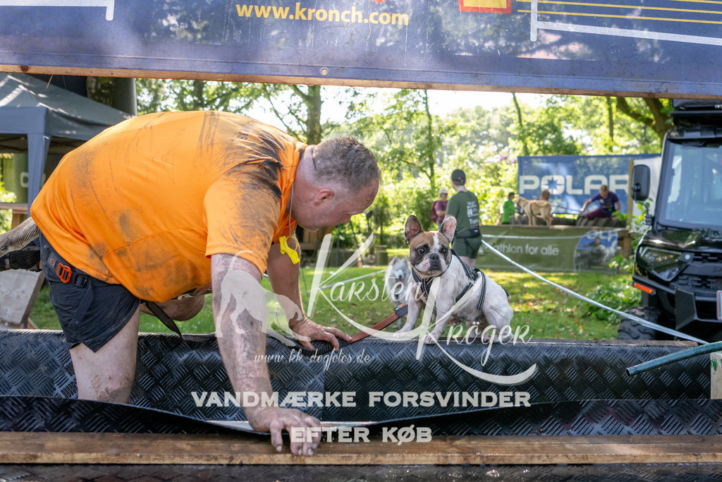 1537_ZZ92097 | kk-dogfotos