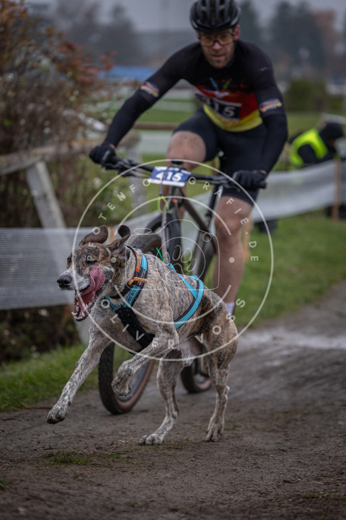 CaniXpix_0L8A1047 | Hundefotografie, Tierfotograf, Pfotenfotografie, Fotoshooting Hund, Hunde Portrait, Hundesport, Hundeportraits, Heideshooting, Hunde, Sportfotograf, Hundefotograf, Turnierhundsport, THS,  - Realisiert mit Pictrs.com