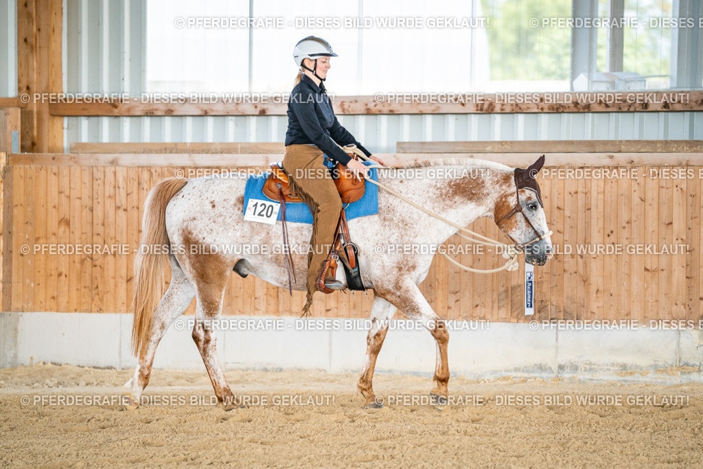 DSC08478 | Pferdegrafie