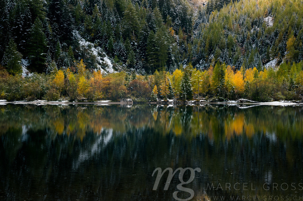 reflection of autumn forest at Lac de Derborence in Valais | Die ideale Geschenkidee für Naturliebhaber. Naturbilder von Marcel Gross Photography für ihr Zuhause in den verschiedensten Formaten und Materialien. - Realisiert mit Pictrs.com