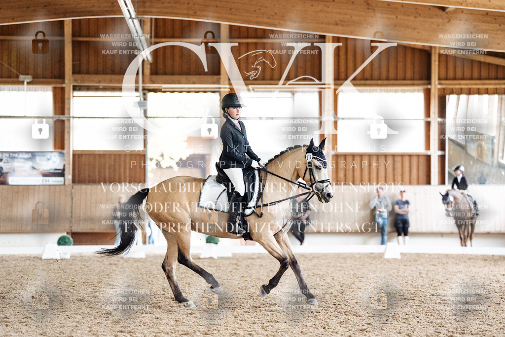 CK901538 | Turnierfotografie Pferdefotografie Trier Rheinland-Pfalz Pferdesport Reitsport Tierfotografie Sportfotografie Pferdevideo Pferdevideografie Equestrianvideography equestrianphotography  - Realisiert mit Pictrs.com