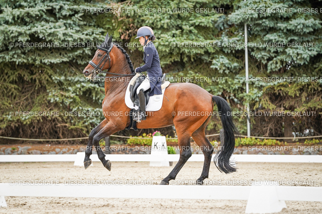 DSC05423 | Pferdegrafie