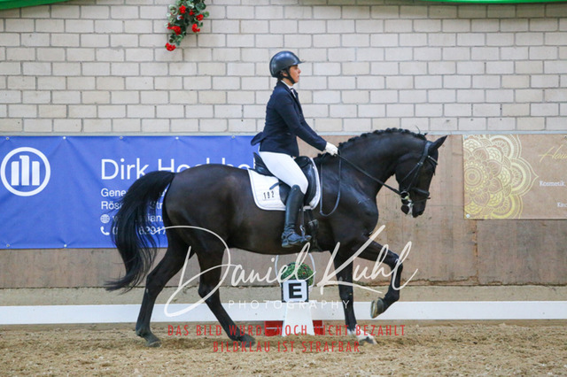 IMG_2645 | Turnierfotos kaufen im Webshop von Daniel Kuhl Photography – entdecke professionelle Reitsportfotos aus Turnieren & Events. Hochwertige Turnierbilder online bestellen & sichern. Jetzt Fotos von Reitsportturnieren kaufen!
