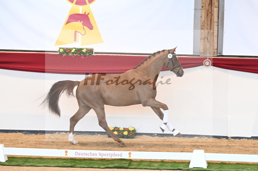 Kat.-Nr. 74 v. Va Bene_Schumacher_2240648 | hf-fotografie - Realisiert mit Pictrs.com