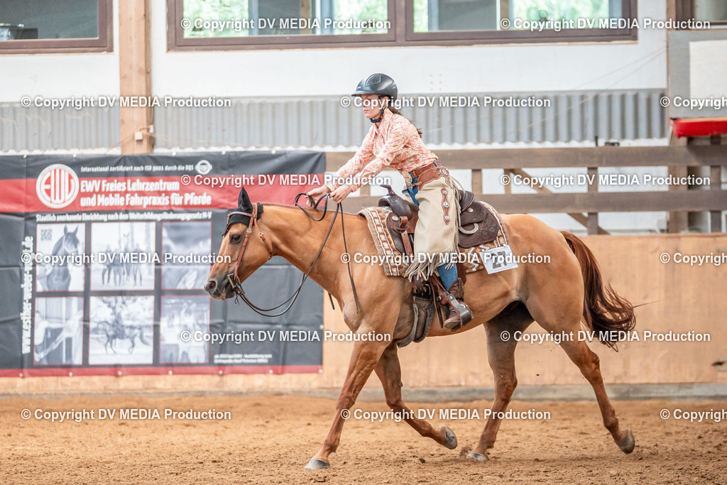 Neckargemünd Tag 2-801 | dv-media-shop - Realisiert mit Pictrs.com