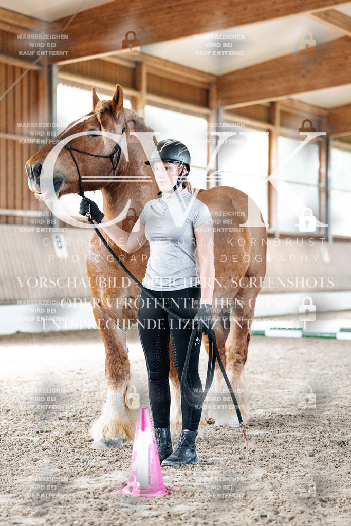 CK905478 | Turnierfotografie Pferdefotografie Trier Rheinland-Pfalz Pferdesport Reitsport Tierfotografie Sportfotografie Pferdevideo Pferdevideografie Equestrianvideography equestrianphotography  - Realisiert mit Pictrs.com