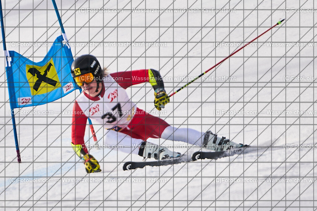 ALP8331_Herrn-FIS-GS-II_Lackenhof-WY_Gstrein Niklas | Internationaler FIS GiantSlalom der Herrn auf der Distelpiste in Lackenhof am Di 11. März 2025.  Österreich, LSV-NÖ, Sportunion Waidhofen/Ybbs (2035).