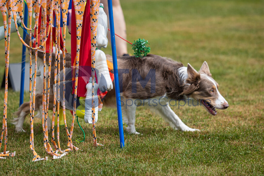 TP-20240815-0070 | Copyright: Trainproduction / Matthias Trinkl