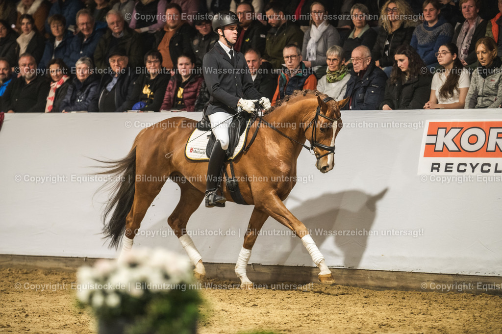 20240302_Hengstvorstellung_Marbach_TOMsPiC_0364 | equistock