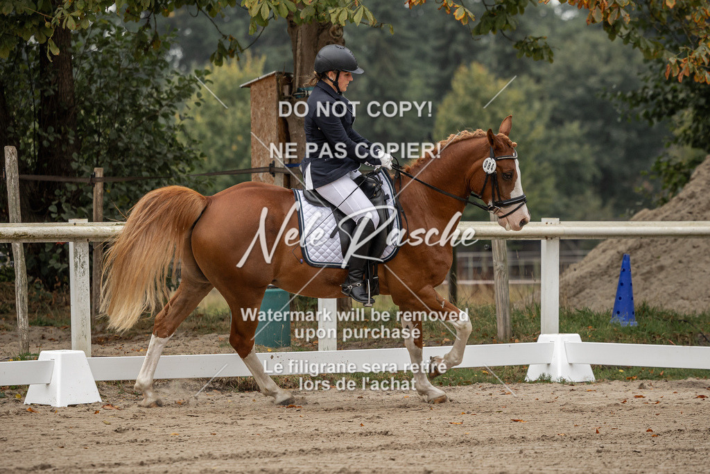 nelerasche_DrL_Ede_01 | nelerasche