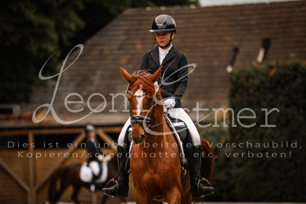 DoDrE00255 | Leoni Ertmer Photography - Realisiert mit Pictrs.com