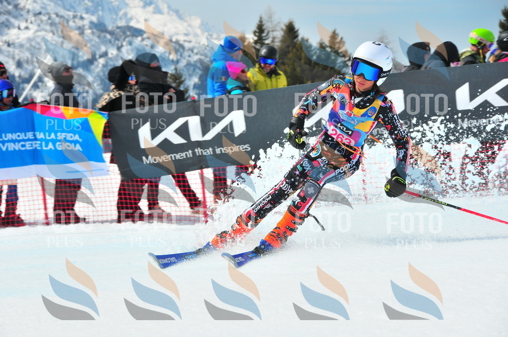 DSC_6208 | holidayphoto