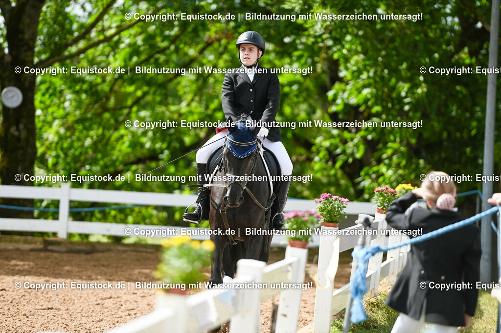 20230716_10-1_Reiter-WB Schritt - Trab - Galopp_0165 | equistock