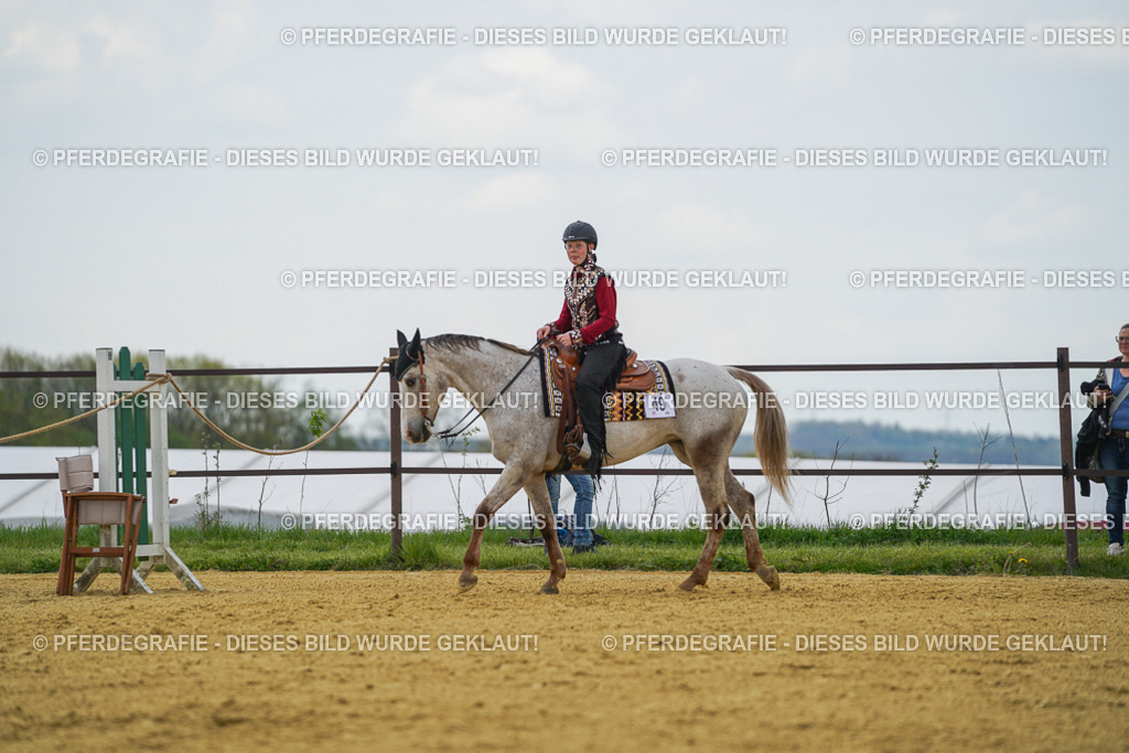 DSC06549 | Pferdegrafie