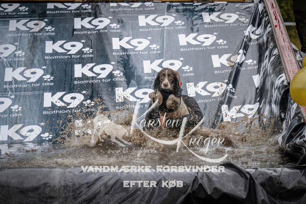 1204_ZZ94238 | kk-dogfotos