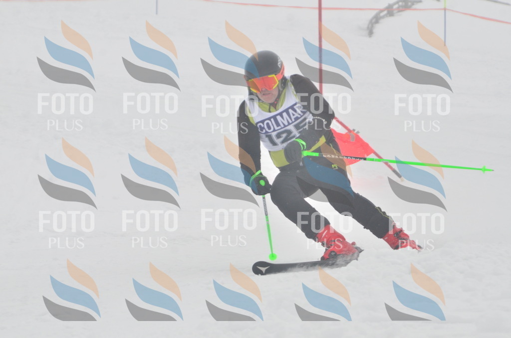 A6041 | holidayphoto