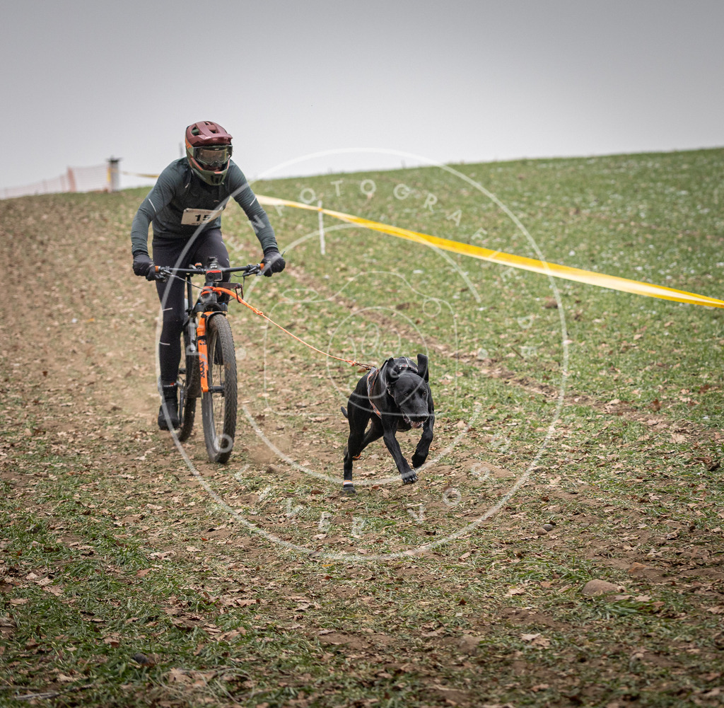 Pfotenfotografie_DV3A2410 | Hundefotografie, Tierfotograf, Pfotenfotografie, Fotoshooting Hund, Hunde Portrait, Hundesport, Hundeportraits, Heideshooting, Hunde, Sportfotograf, Hundefotograf, Turnierhundsport, THS,  - Realisiert mit Pictrs.com