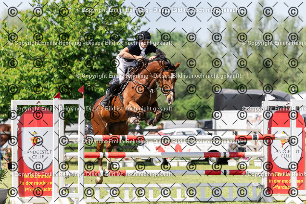 CL5A9530 | Emilia Reinking Fotografie - Realisiert mit Pictrs.com