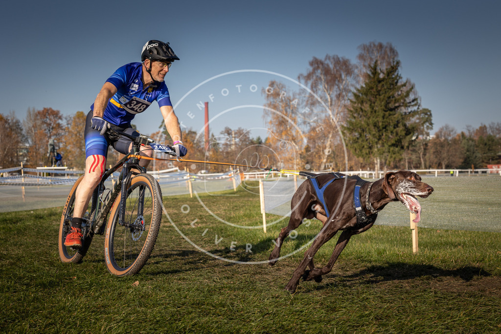 CaniXpix_0L8A8013 | Hundefotografie, Tierfotograf, Pfotenfotografie, Fotoshooting Hund, Hunde Portrait, Hundesport, Hundeportraits, Heideshooting, Hunde, Sportfotograf, Hundefotograf, Turnierhundsport, THS,  - Realisiert mit Pictrs.com