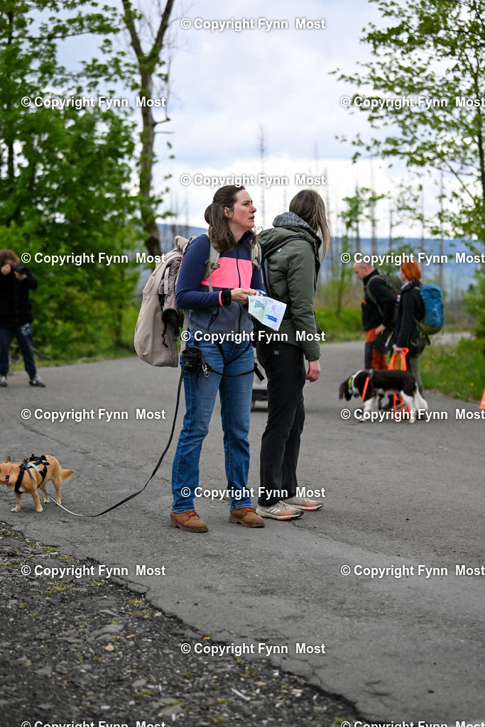 DSC_7488 | Hallo und herzlich Willkommen auf meiner Shop-Seite Fynn Most.

Ich wünsche Dir viel Spaß beim stöbern durch die Bilder, wenn Du Fragen hast oder Bilder vermisst, kannst du mir gerne eine Nachricht schreiben. - Realisiert mit Pictrs.com