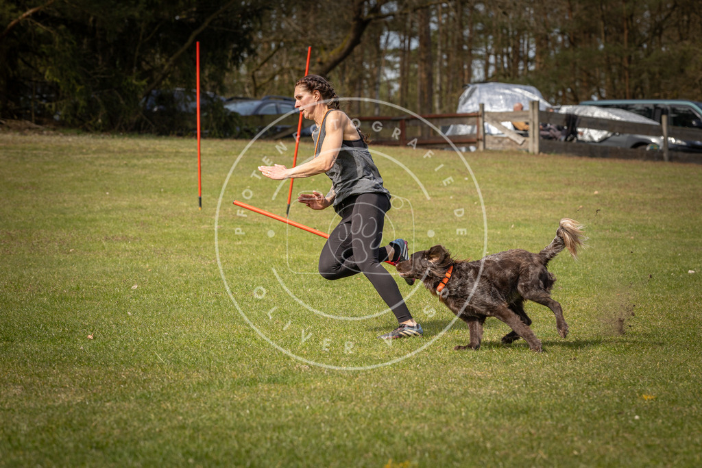 Pfotenfotografie_DV3A7207 | Hundefotografie, Tierfotograf, Pfotenfotografie, Fotoshooting Hund, Hunde Portrait, Hundesport, Hundeportraits, Heideshooting, Hunde, Sportfotograf, Hundefotograf, Turnierhundsport, THS,  - Realisiert mit Pictrs.com