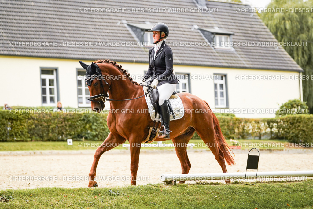 DSC08356 | Pferdegrafie