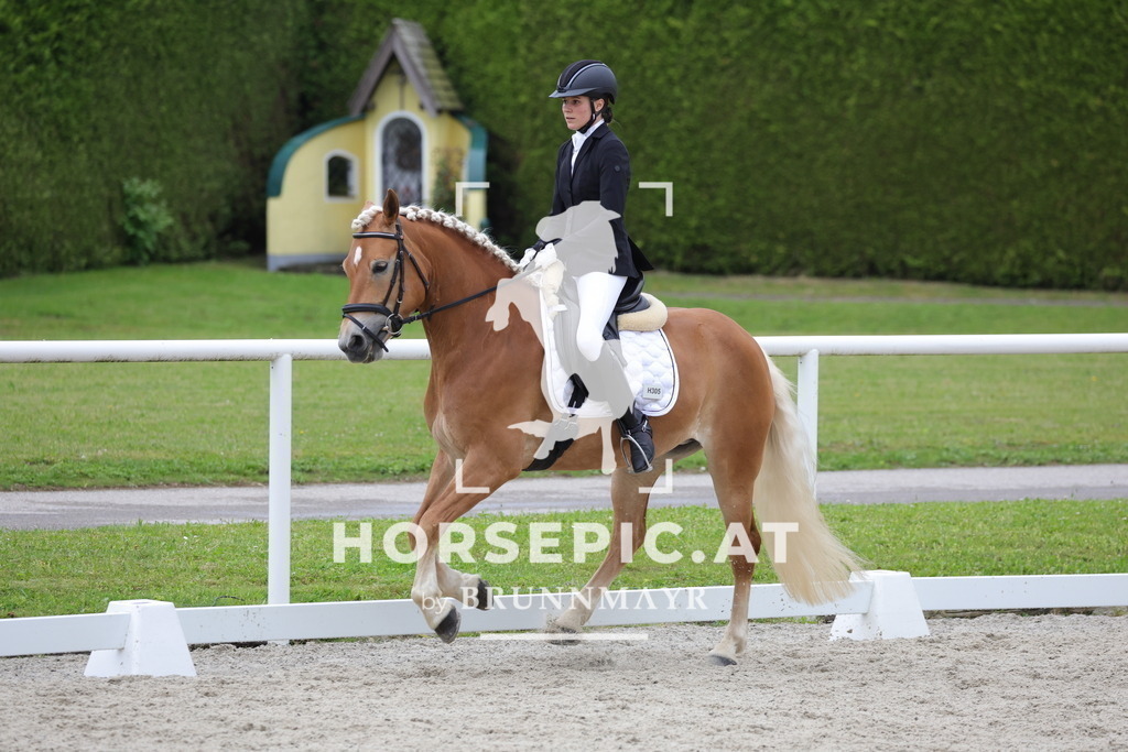 0P6A5245 | Willkommen bei Brunnmayr - Design & Fotografie – Ihrem Spezialisten für Reitturniere und Pferdeveranstaltungen in Oberösterreich, Salzburg und Bayern! Seit über 17 Jahren sind wir leidenschaftlich dabei.