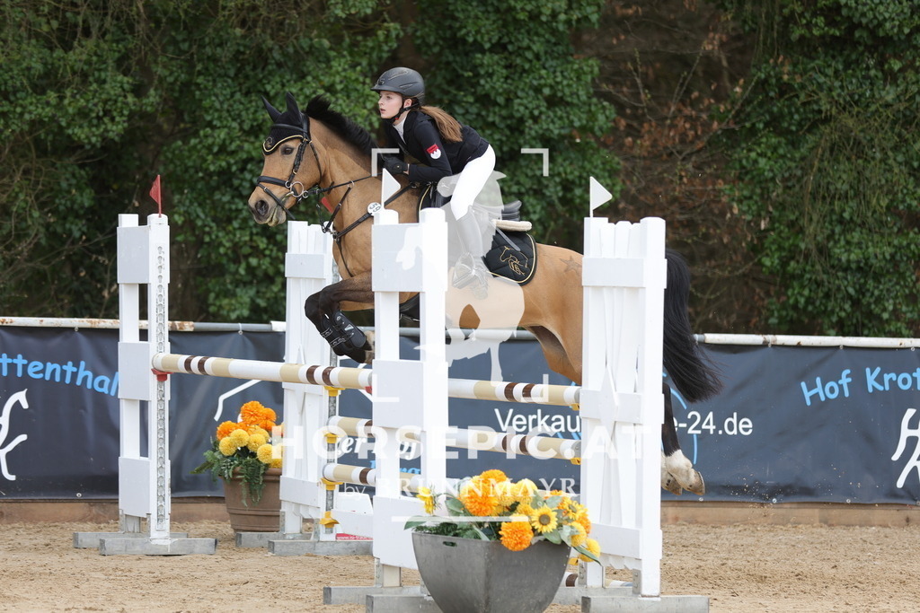 0P6A9689 | Willkommen bei Brunnmayr - Design & Fotografie – Ihrem Spezialisten für Reitturniere und Pferdeveranstaltungen in Oberösterreich, Salzburg und Bayern! Seit über 17 Jahren sind wir leidenschaftlich dabei.