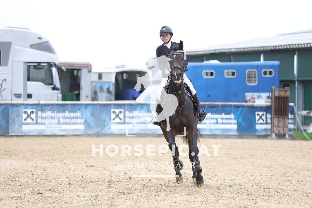 0P6A2644 | Willkommen bei Brunnmayr - Design & Fotografie – Ihrem Spezialisten für Reitturniere und Pferdeveranstaltungen in Oberösterreich, Salzburg und Bayern! Seit über 17 Jahren sind wir leidenschaftlich dabei.