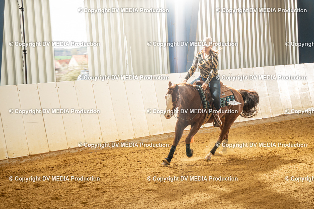 MIT00500 | dv-media-shop - Realisiert mit Pictrs.com