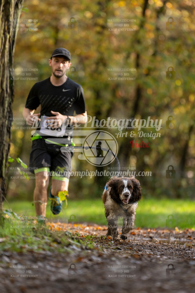 MompixPhotography_Bischwiller23_Canicross-74 | PayLife