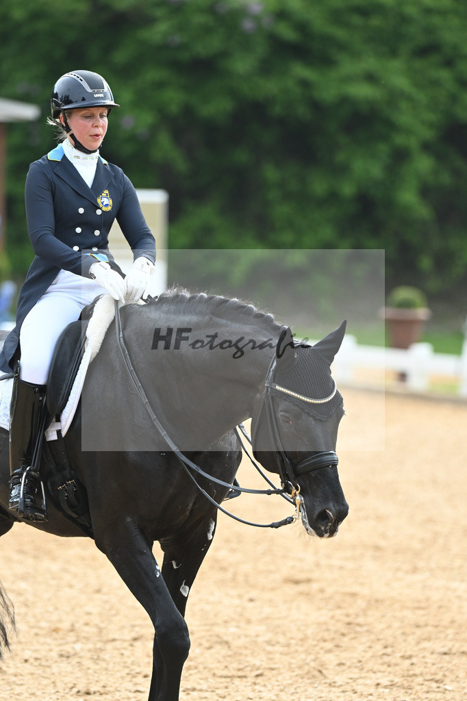 Nilshagen_Dante Weltino Old_11232789 | hf-fotografie - Realisiert mit Pictrs.com