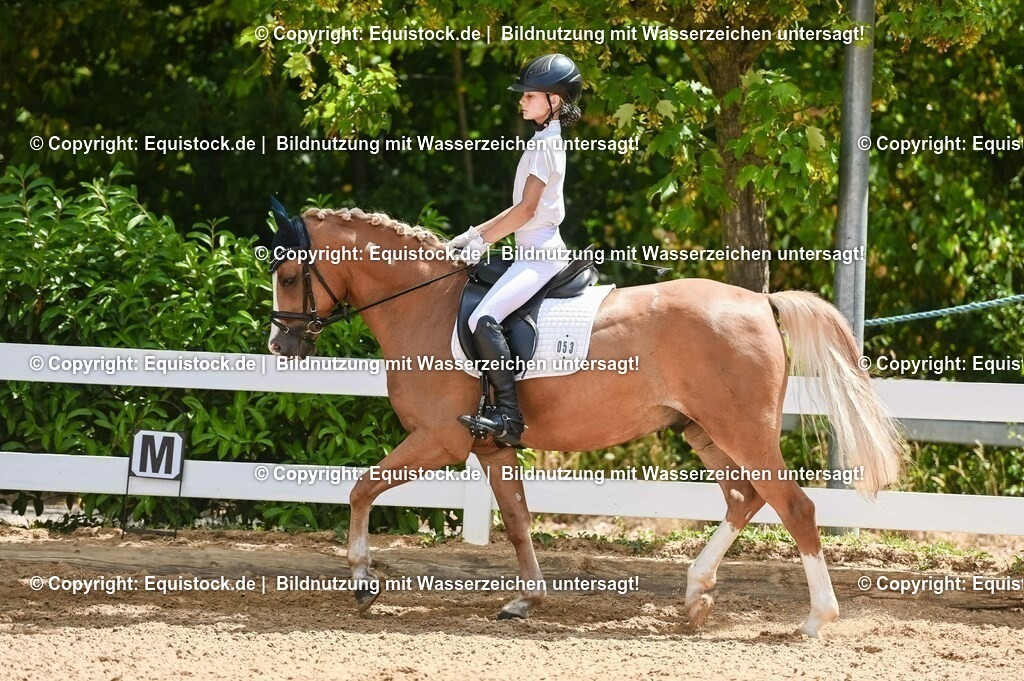 20230715_09_Dressur-WB_0255 | equistock