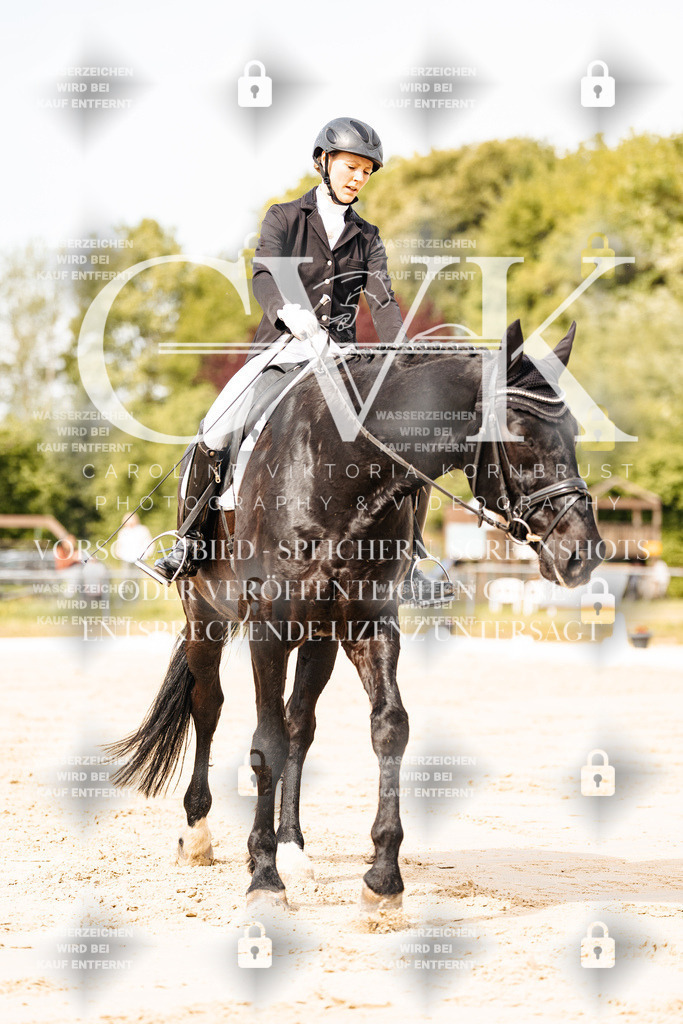 CK901071 | Turnierfotografie Pferdefotografie Trier Rheinland-Pfalz Pferdesport Reitsport Tierfotografie Sportfotografie Pferdevideo Pferdevideografie Equestrianvideography equestrianphotography  - Realisiert mit Pictrs.com