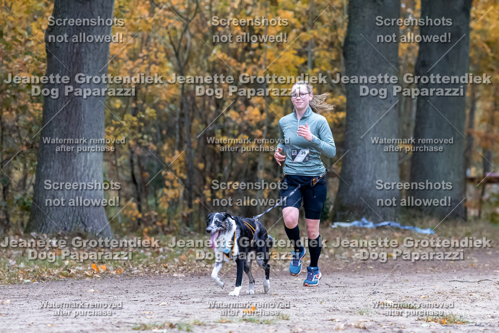 Dog Paparazzi - SD CaniX Championship 2025-300 | Dog Paparazzi Jeanette Grottendiek Fotografie & Videografie - Realisiert mit Pictrs.com