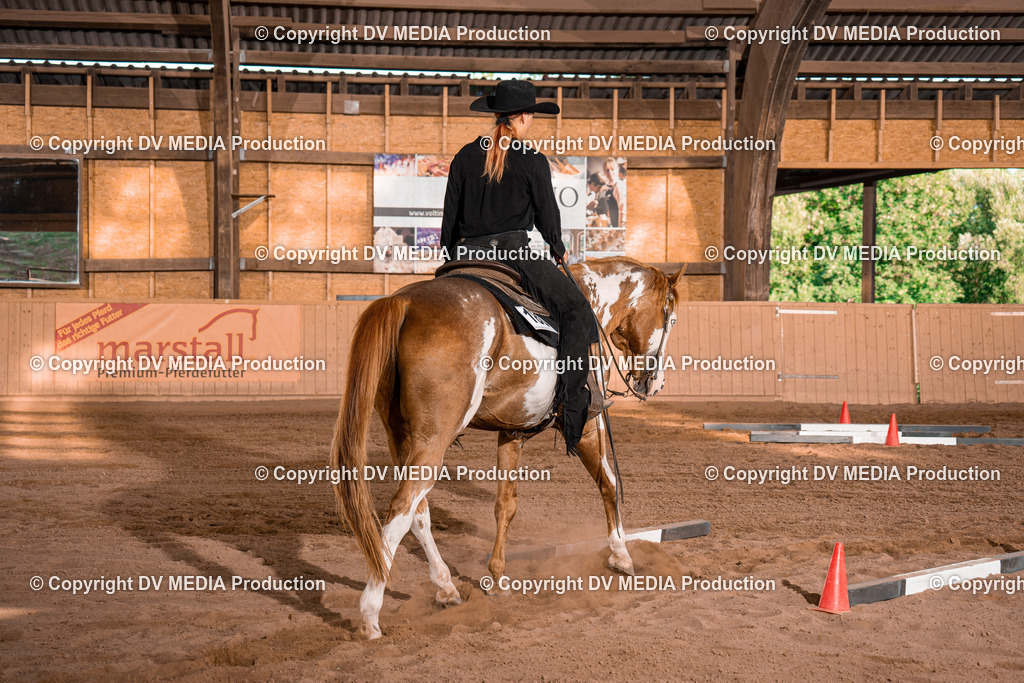 NE101253 | dv-media-shop - Realisiert mit Pictrs.com