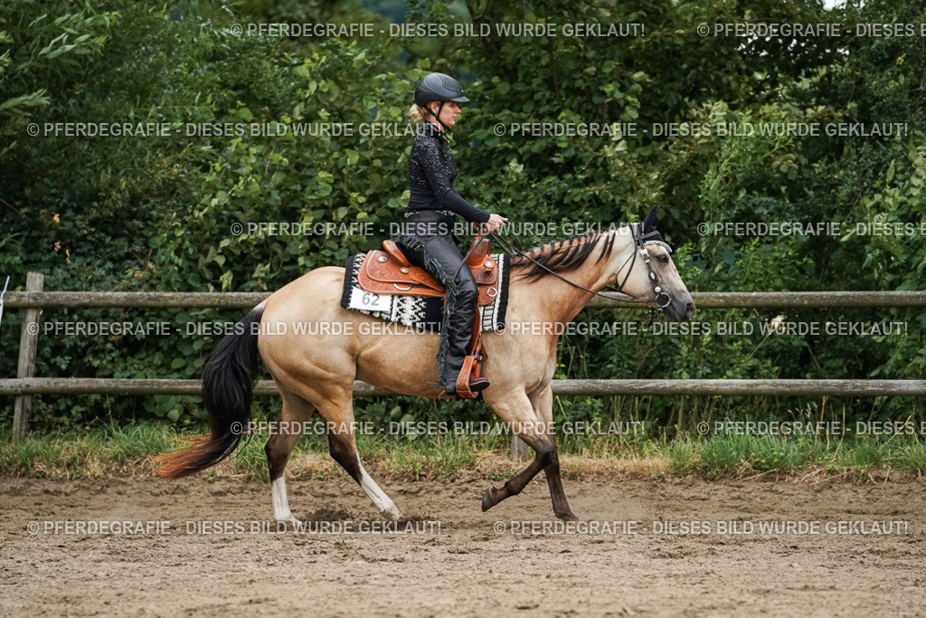 DSC03714 | Pferdegrafie